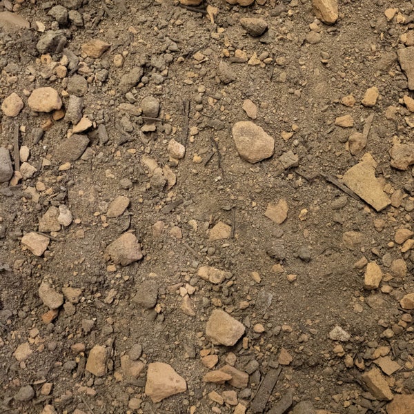 Nahaufnahme von Erde mit Steinen in verschiedenen Größen und kleinen Holzstücken.