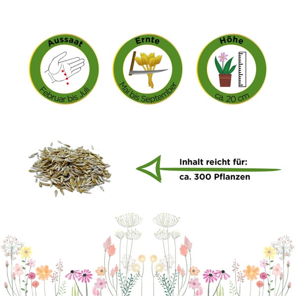 Aussaat von Februar bis Juli, Ernte von Mai bis September, Wuchshöhe circa 20 cm. Inhalt ausreichend für circa 300 Pflanzen.
