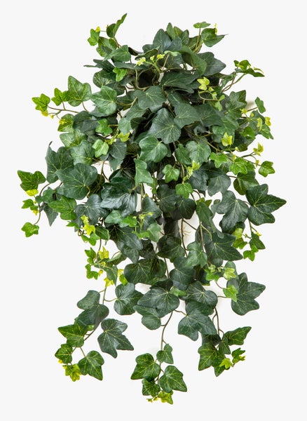 Künstlicher Efeu als Hängepflanze mit detailgetreuen grünen Blättern.