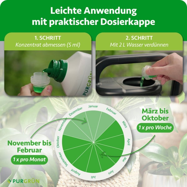 Anleitung für Flüssigdünger: 5 Milliliter Konzentrat auf 2 Liter Wasser mischen. Saisonaler Kalender für die Anwendungshäufigkeit. Purgrün Logo.