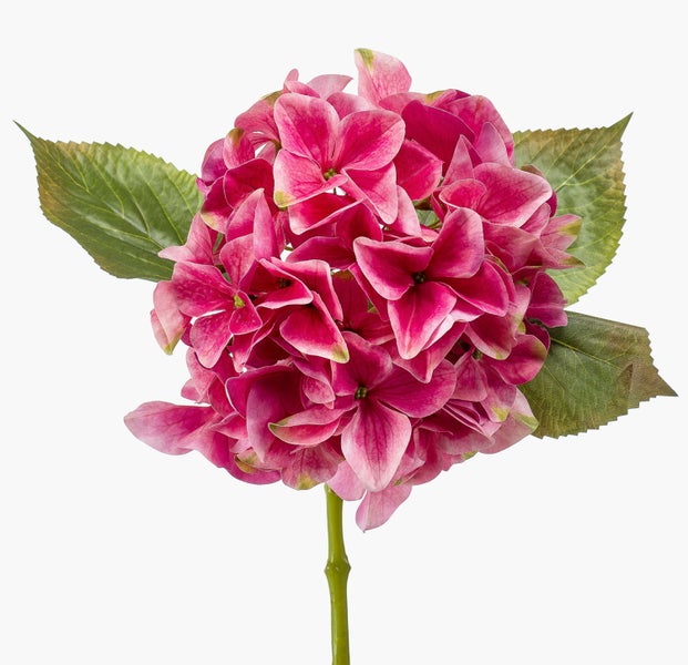 Künstliche Hortensie mit pinkfarbenem Blütenkopf und grünen Blättern.