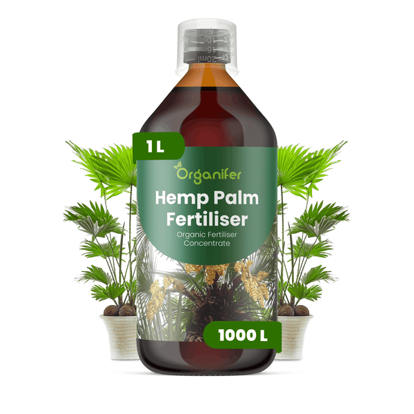 Organifer Hanfpalmen-Dünger, 1 Liter Flasche, organisches Konzentrat für circa 1000 Liter, inklusive Messbecher, Organifer Logo.