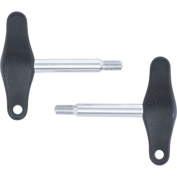 Zwei T-Griff Schrauben