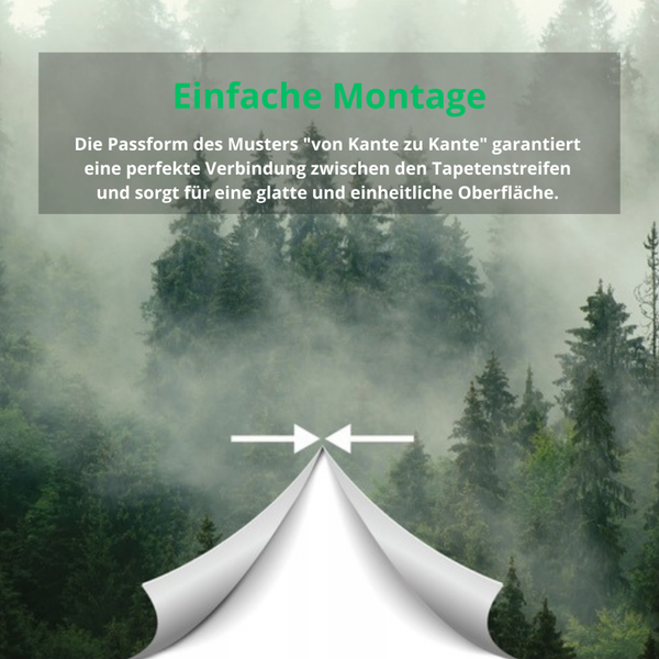 Fototapete 3D Effekt Wald Nebel Wohnzimmer Vlies Tapete 400x280 cm