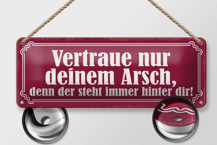 Blechschild Spruch 27x10cm vertraue nur deinem Arsch denn Dekoration