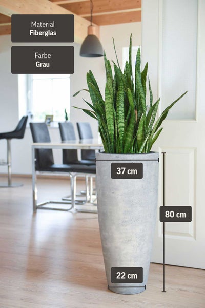 Hohes graues Pflanzgefäß aus Fiberglas mit Bogenhanf, 80 Zentimeter hoch, oben 37 und unten 22 Zentimeter breit, in hellem Raum.