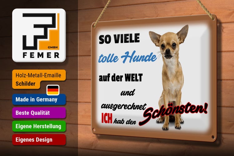 Blechschild Spruch 30x20cm ich hab den schönsten Hund