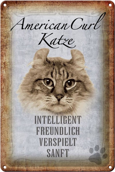 Blechschild Spruch 20x30cm American Curl Katze Schild