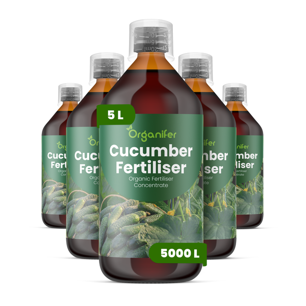 Set aus fünf Flaschen Organifer Gurkendünger Konzentrat, organischer Flüssigdünger für Gurken, insgesamt 5 Liter.