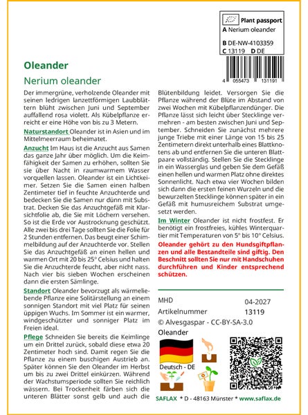 SAFLAX  - Oleander - Nerium oleander - 50 Samen