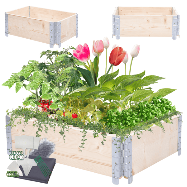 Hochbeetkisten GrowBox HxBxT 20x60x40 cm 1 Ebene Holz Imprägniert