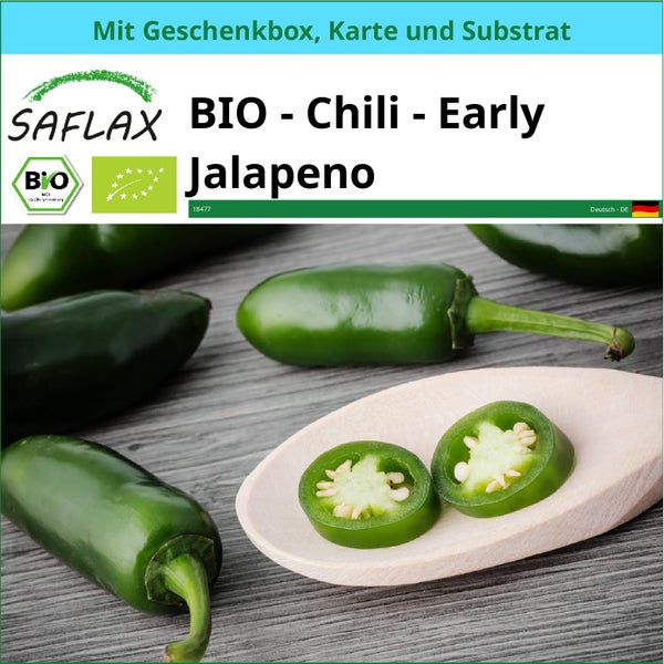 SAFLAX Geschenk Set - BIO - Chili - Early Jalapeno - Capsicum annuum - 20 Samen - Mit Geschenkbox, Versandaufkleber, Geschenkkarte und Anzuchtsubstrat