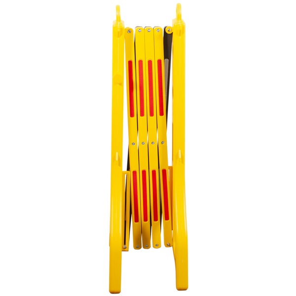 Blütenstand mit Schleierkrautblüten