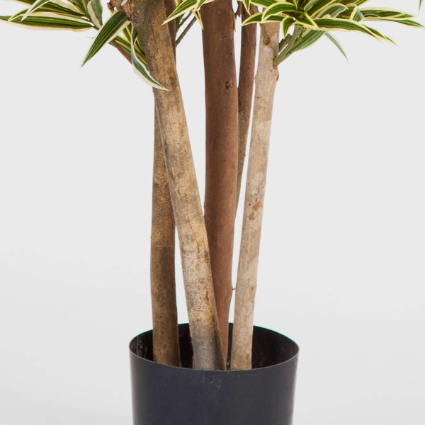 Künstliche Pflanze mit gemusterten Blättern und mehreren Stämmen in einem schwarzen Topf.