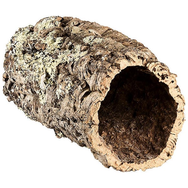 Korkröhre aus Naturkork für Terrarien und Kleintiere, hohle Korkrinde.