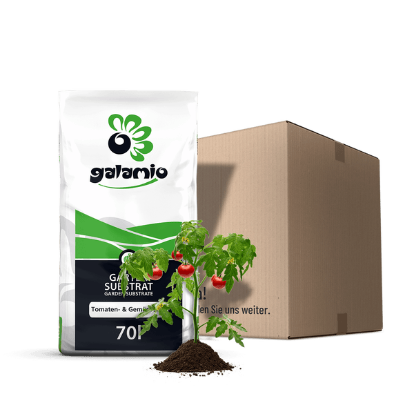 Galamio Gartensubstrat für Tomaten und Gemüse, 70 Liter Sack mit einem Versandkarton und einer kleinen Tomatenpflanze in Erde.
