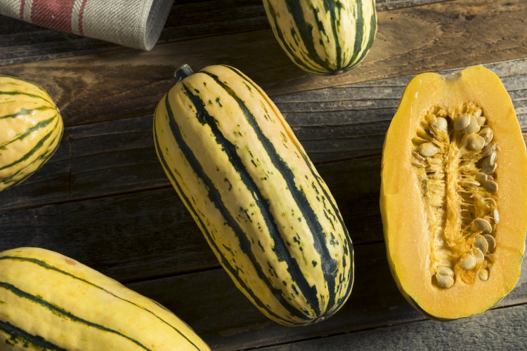 SAFLAX Garden to go - BIO - Kürbis - Delicata - Cucurbita pepo - 6 Samen - Mit Topf, Klima - Deckel und Anzuchtsubstrat