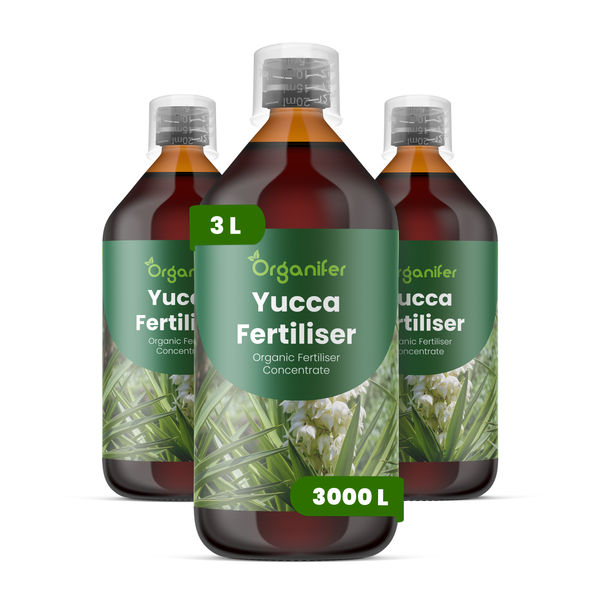 Organifer Yucca Dünger, 3 Liter Konzentrat in Flaschen mit Messkappe, ergibt bis zu 3000 Liter.