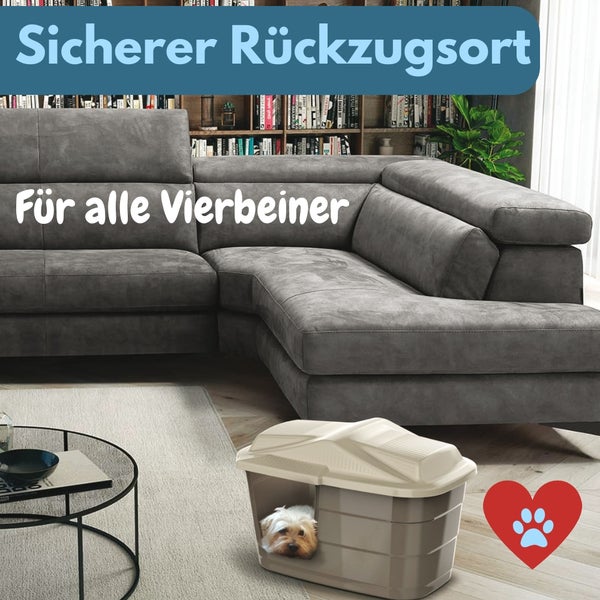 Hund im Hundehaus vor Sofa und Bücherregal, sicherer Rückzugsort für Haustiere