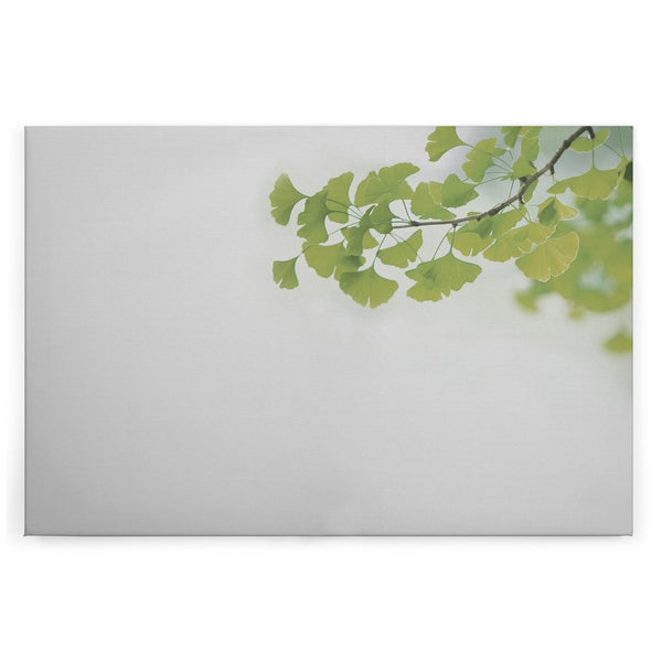 Wandbild mit einem Ginkgo Ast als Motiv auf einer rechteckigen Leinwand