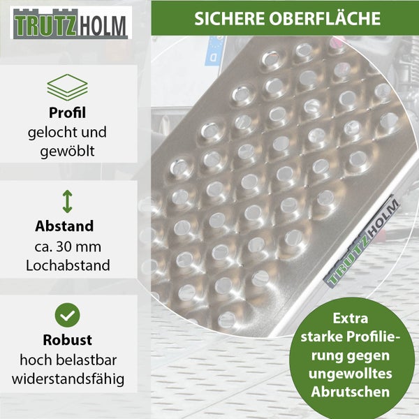 TRUTZHOLM 2 x Alu Auffahrrampen 150 x 21,5 cm 200 kg rutschhemmend starr Fahrradrampen Verladerampen