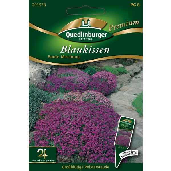 Blaukissen Bunte Mischung Samen von Quedlinburger SAATGUT