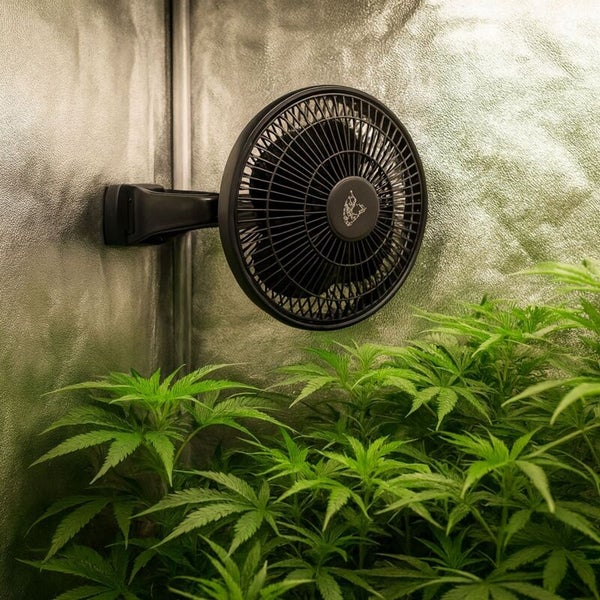 Clipventilator an einer Zeltstange befestigt über Pflanzen in einer Growbox mit reflektierenden Wänden.