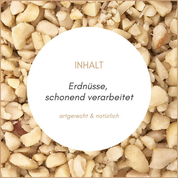 Erdnüsse schonend verarbeitet