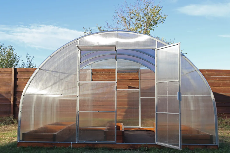 Rundbogengewächshaus mit Polycarbonat-Hohlkammerplatten, Metallrahmen, Holz-Hochbeeten sowie geöffneter Tür und Lüftungsfenster.