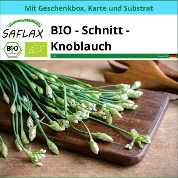 SAFLAX Geschenk Set - BIO - Schnitt - Knoblauch - Allium tuberosum - 100 Samen - Mit Geschenkbox, Versandaufkleber, Geschenkkarte und Anzuchtsubstrat