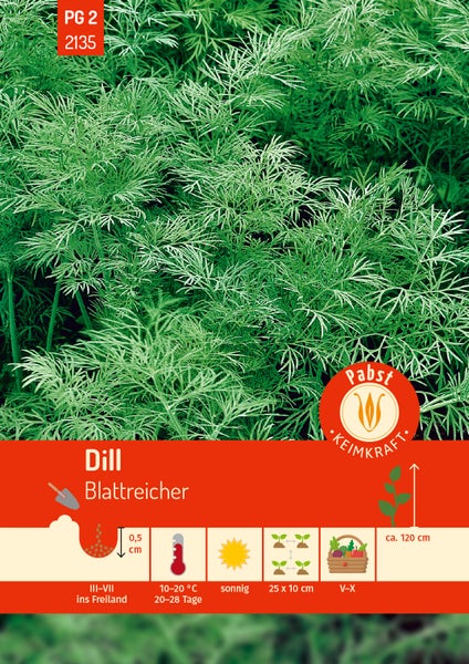 Rückseite einer Samentüte für Dill Blattreicher von Carl Pabst mit Informationen zu Aussaat und Ernte. TEKWEST Logo und Carl Pabst Logo.