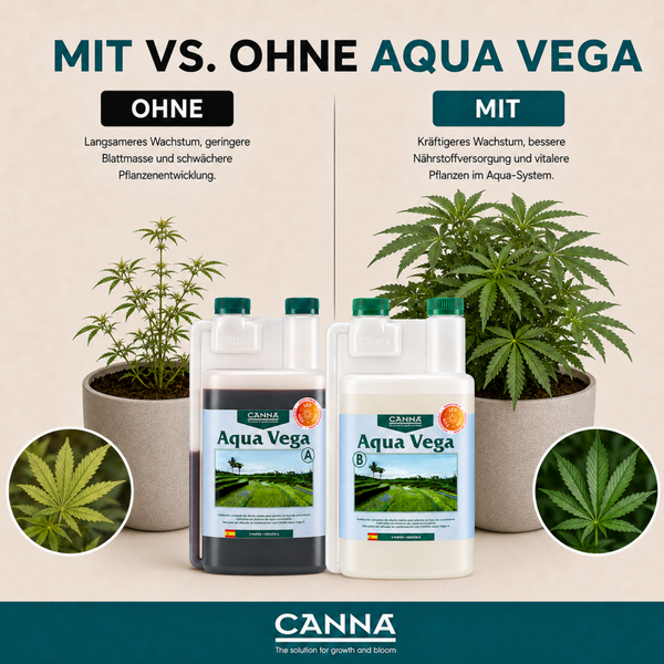 Vergleichsgrafik CANNA Aqua Vega Dünger zeigt Pflanzenwachstum ohne und mit Nährstoffzugabe mit Produktflaschen und Canna Logo.