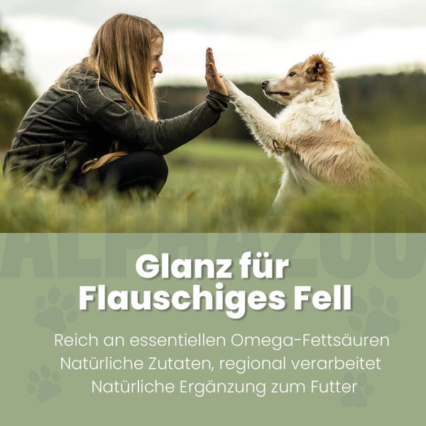 Frau gibt Hund ein High-Five. Text im Bild: Glanz für flauschiges Fell. Reich an essentiellen Omega-Fettsäuren, natürliche Zutaten, regional verarbeitet, natürliche Ergänzung zum Futter.