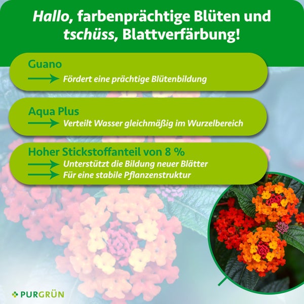 Anwendung: fünf Milliliter Konzentrat abmessen, mit einem Liter Wasser verdünnen. Von März bis Oktober wöchentlich anwenden. Purgrün Logo.