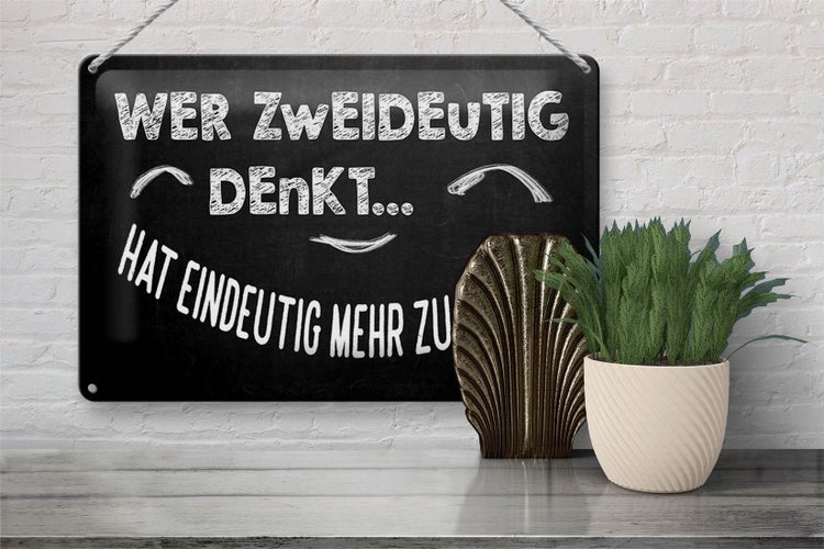 Blechschild Spruch 30x20cm Wer zweideutig denkt lacht mehr