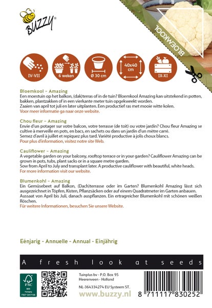 Blumenkohlsamenpackung mit Informationen zu Anbau und Ernte