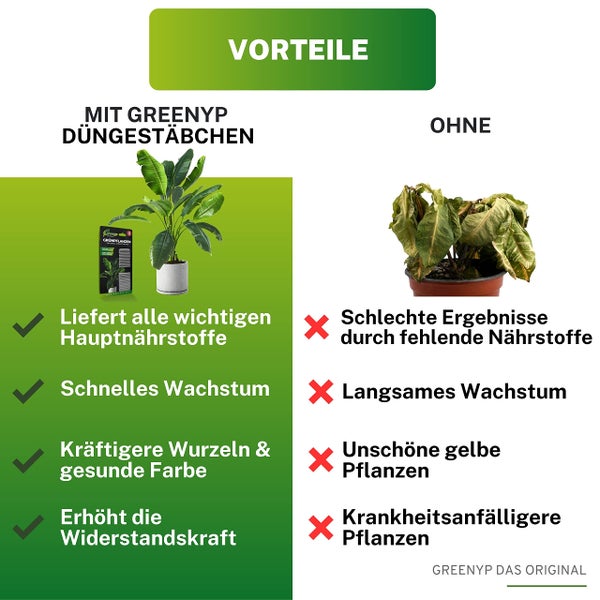Greenyp 100x Universaldünger Grünpflanzen Düngestäbchen für alle Grün- & Zimmerpflanzen I Langzeitdünger NPK Dünger mit Eisen und 3 Monate Düngekraft