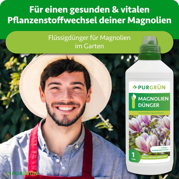 Gärtner mit Strohhut neben einer Ein-Liter-Flasche Purgrün Magnoliendünger für gesunde Pflanzen und Blüten im Garten.