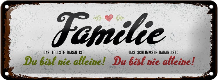 Blechschild Spruch Familie Du bist nie alleine Dekoration 27x10cm