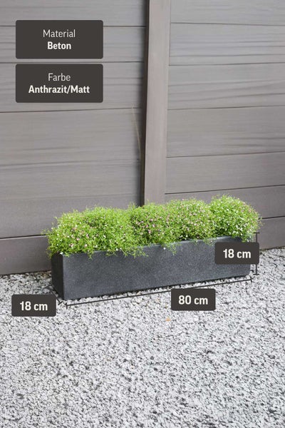 Rechteckiger Pflanzkasten aus Beton in Anthrazit matt, Maße 80 mal 18 mal 18 Zentimeter, bepflanzt auf Kies vor einer Sichtschutzwand.