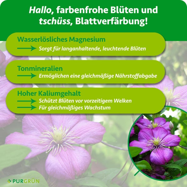 Detailansicht eines Sofas mit Stoffbezug und Kissen