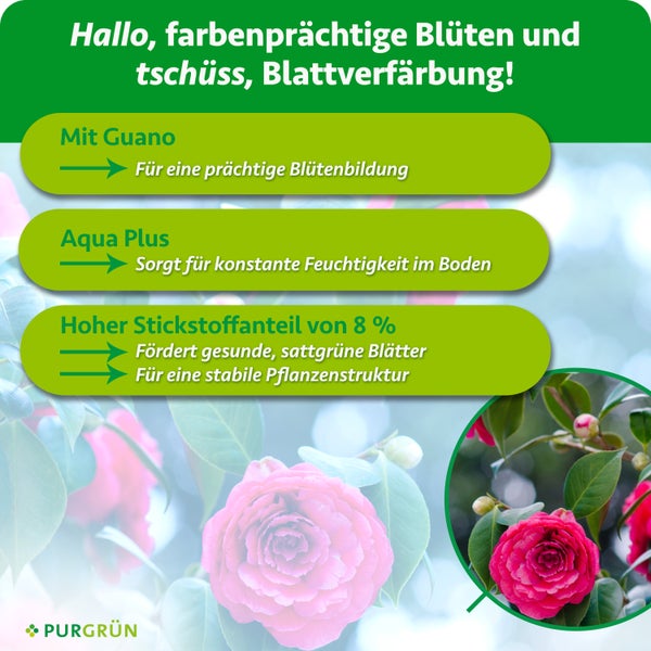 Infografik zum Purgruen Blumenduenger mit Guano und Aqua Plus zur Foerderung von Bluetenbildung sowie fuer gesunde, gruene Blaetter.