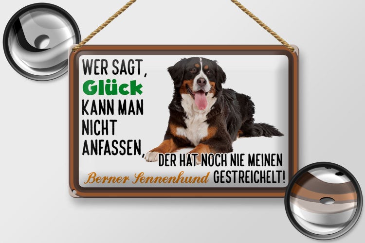 Blechschild Spruch 30x20cm wer sagt Glück Berner Sennenhund