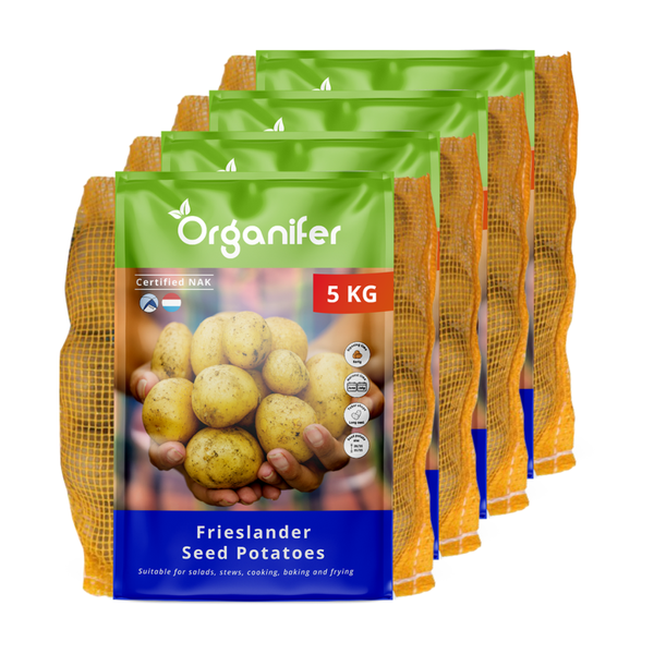 Hängeleuchte mit halbkugelförmigem Lampenschirm