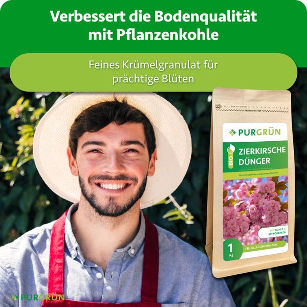 Ein fröhlicher Gärtner mit Hut und Purgrün Zierkirsche Dünger mit Pflanzenkohle und Mykorrhiza als 1 Kilogramm Packung.