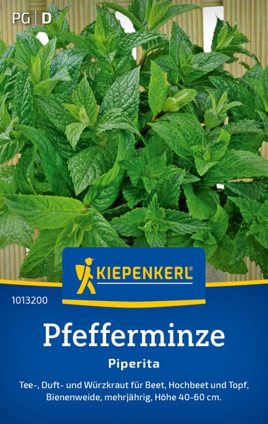 Pfefferminze Piperita im Topf Kiepenkerl Saatgut fuer Beet und Hochbeet