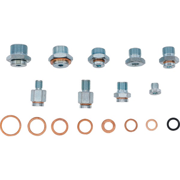 Set aus Hydraulikverschraubungen und Dichtringen