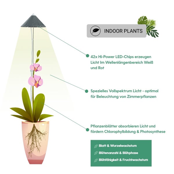 Parus by Venso SUNLiTE XL LED Vollspektrum Pflanzenlampe Grau 25W Indoor Plants Pflanzen Beleuchtung, mit ausziehbarem Teleskopstab, Parus Pflanzenlampe für große und kleine Zimmerpflanzen