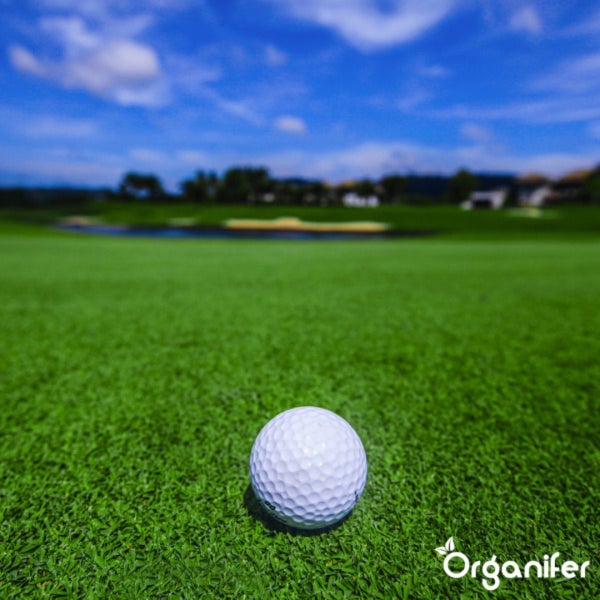Pro Turf & Rasen Dünger - Phasenweise Freisetzung (5 kg für 165 m2) - Organifer