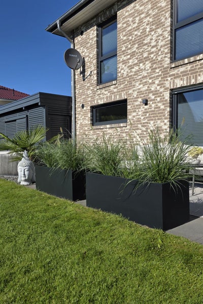 Moderne Gartenszene mit zwei großen rechteckigen schwarzen Pflanzkübeln mit hohem Ziergras vor einer Ziegelhauswand und grünem Rasen.